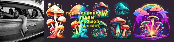 мескалин Новодвинск