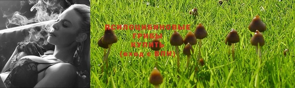 мескалин Новодвинск