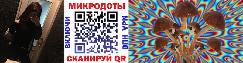 mega маркетплейс  хочу   Алагир  Галлюциногенные грибы Cubensis 