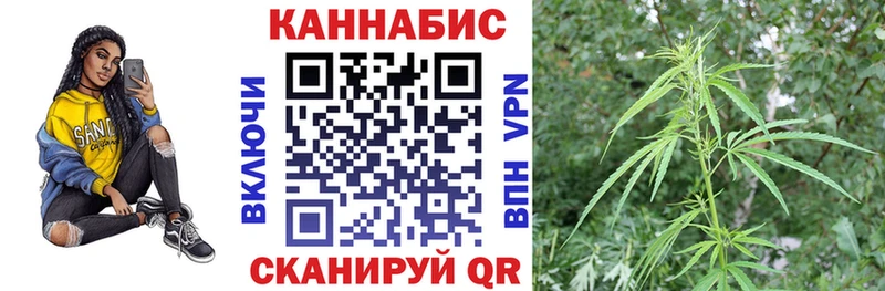 Бошки марихуана индика  Алагир 
